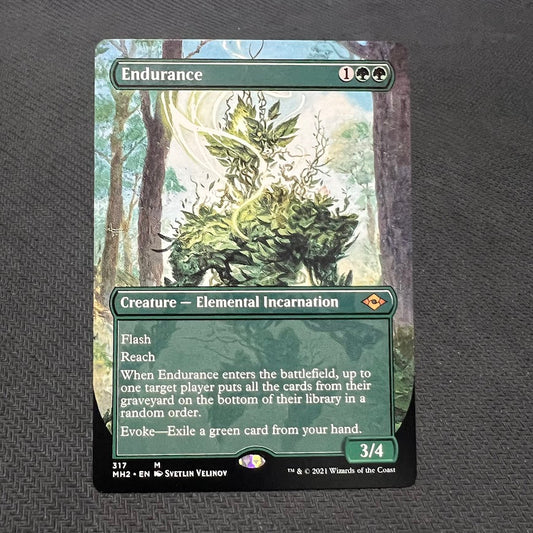 Endurance - Modern Horizons 2 #317 - No Foil