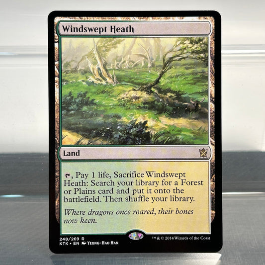 Windswept Heath - Khans of Tarkir #248 - No Foil