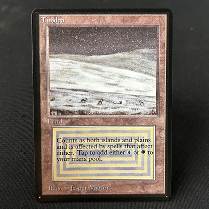 Pack 10 Dual Lands - Limited Edition Beta - No Foil