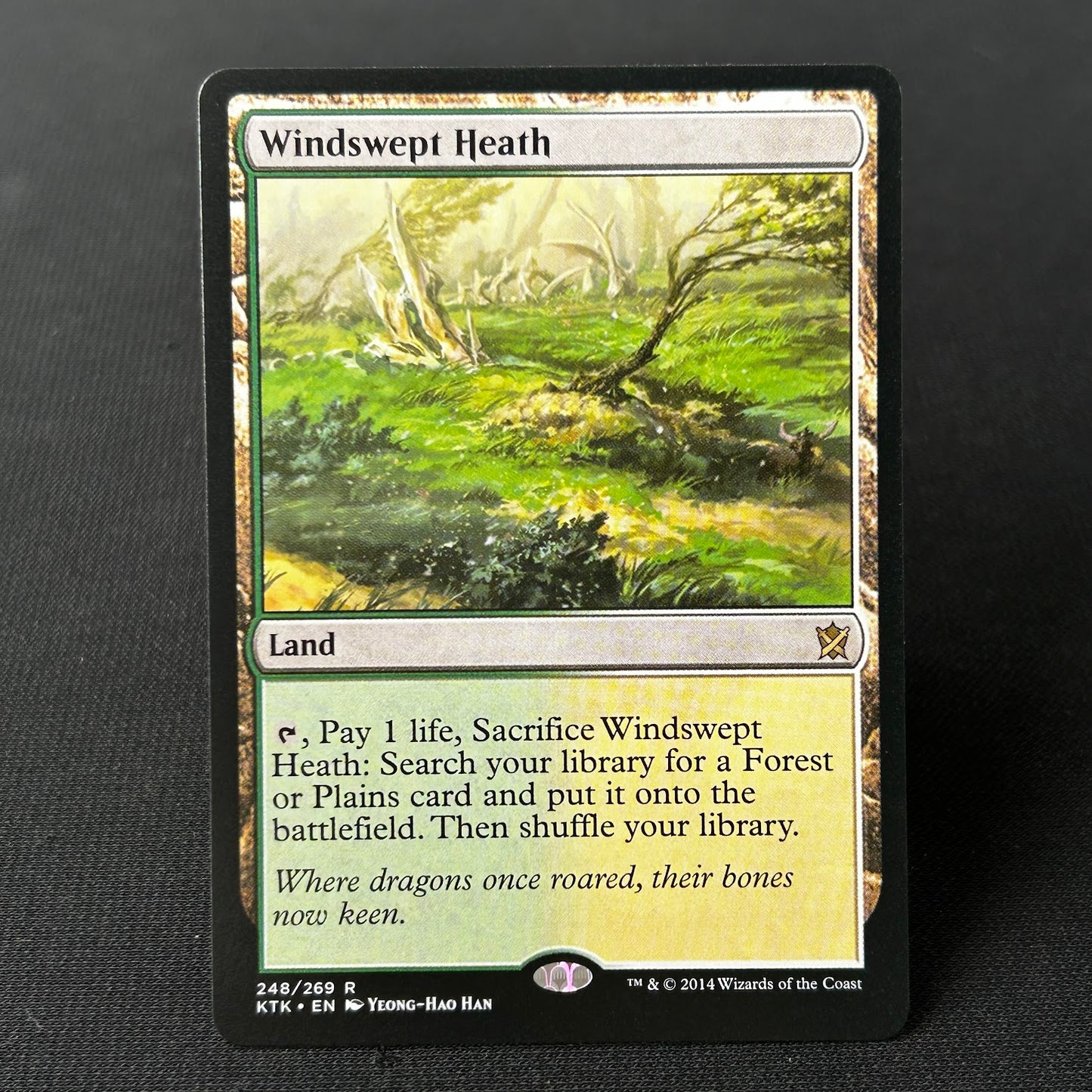 Windswept Heath - Khans of Tarkir #248 - No Foil