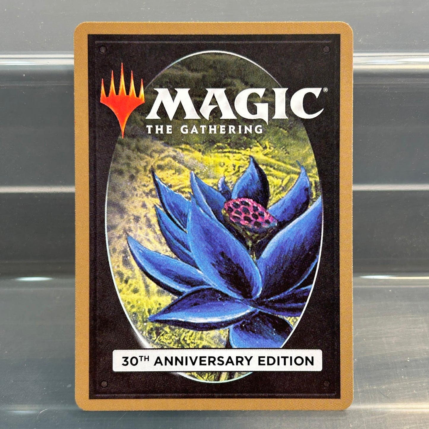Badlands - 30th Anniversary #273 - No Foil