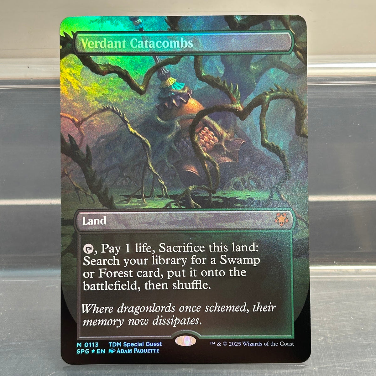 Pack 10 Fetch Lands - Tarkir Special Guests & Modern Horizons 3 - Foil
