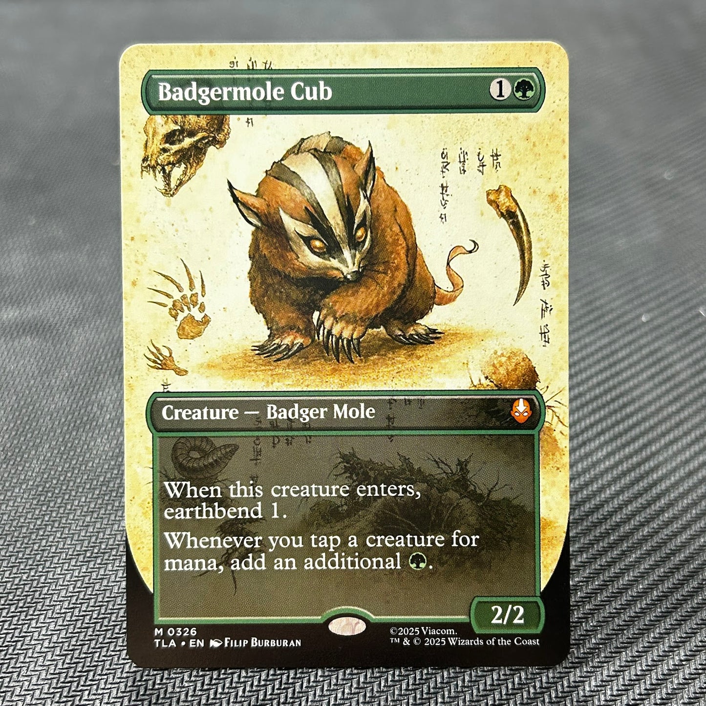 Badgermole Cub - Avatar: The Last Airbender #326 - No Foil